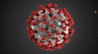 Alimlər koronavirusun ikinci dalğasının dəhşətli olacağını bildirirlər