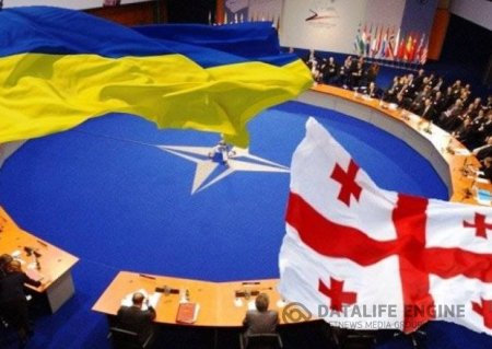 Gürcüstan və Ukrayna NATO-ya üzv olacaq