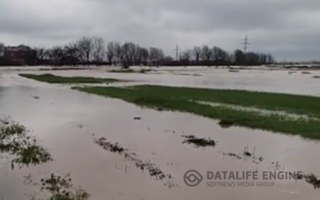Masallıda kəndi su basdı, 9 ailə təxliyə olundu - Video