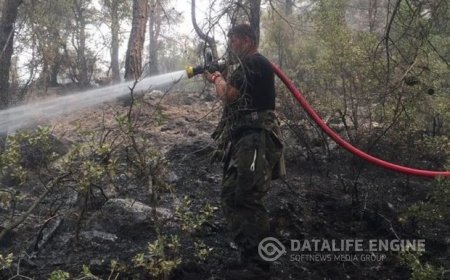 FHN-in qüvvələri Türkiyənin Aydın şəhərinin yaşıllıq zolağındaki yanğını söndürüb